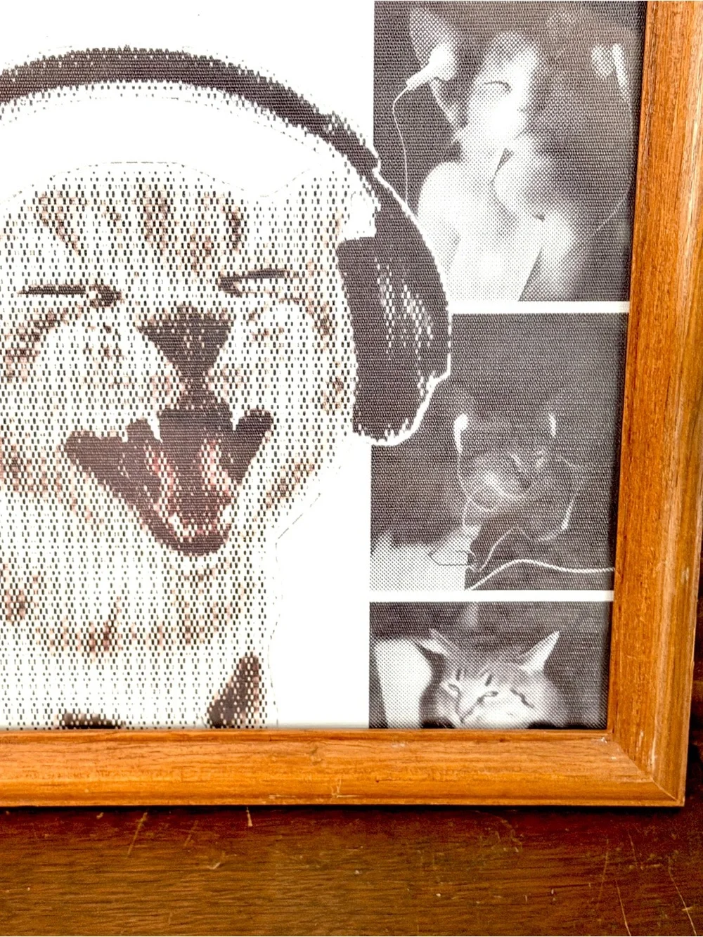 Music Definition Cats w Headphones Earbuds Kitties Canvas Art Print Wood Framed